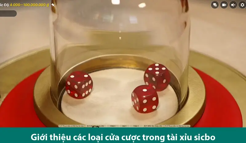 Tìm hiểu quy tắc, các loại cược và kinh nghiệm chơi Sicbo luôn thắng