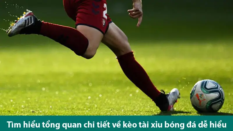 Các loại kèo tài xỉu và kinh nghiệm chơi kèo tài xỉu bóng đá