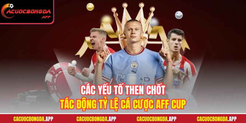 Các yếu tố then chốt tác động tỷ lệ cá cược AFF Cup