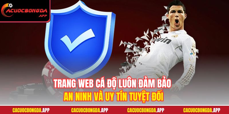 Trang web cá độ luôn đảm bảo an ninh và uy tín tuyệt đối